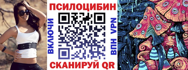 Галлюциногенные грибы Psilocybe  купить закладку  Гулькевичи 